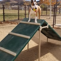 Deleo Regional Dog Park photo 1